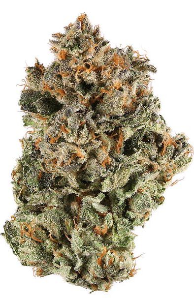 Blackberry Kush